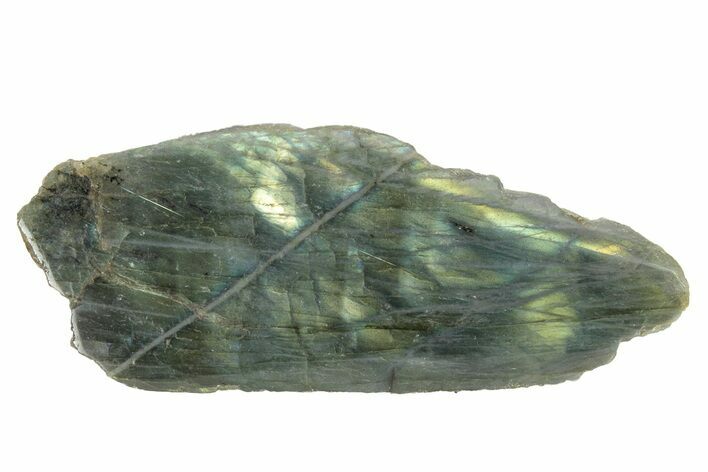 Single Side Polished Labradorite Slab - Madagascar #230283